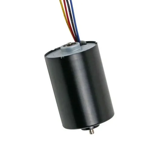 36mm Diameter 12V 24V Electric DC Fan Motor 3657bl Micro BLDC Brushless Motor with Ball Bearings