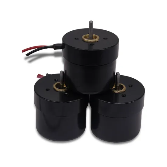 4030bl 12V 24V Brushless DC Mini Motor 40mm Diameter BLDC Electric DC Motor for Household Application