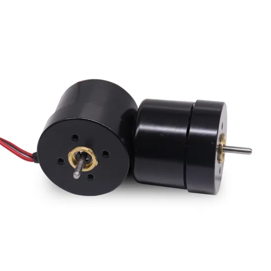 4030bl 12V 24V Brushless DC Mini Motor 40mm Diameter BLDC Electric DC Motor for Household Application