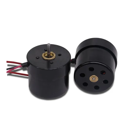 Electrical Tools 12V 24V BLDC Motor High Torque High Rpm Outrunner Mini Brushless Motor with PWM