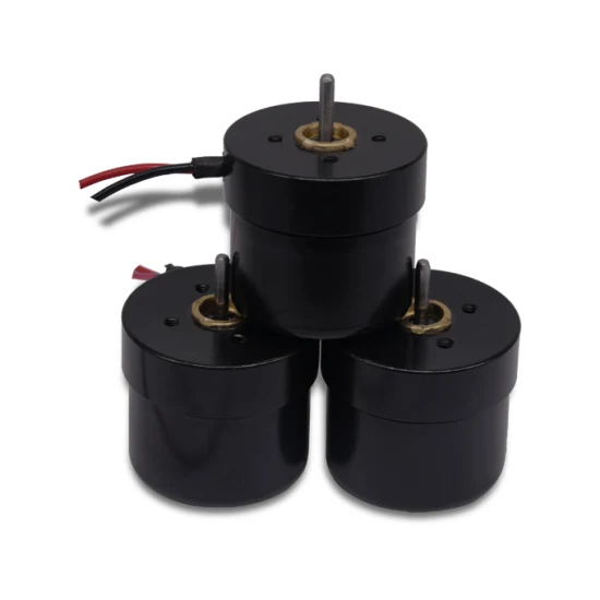 Electrical Tools 12V 24V BLDC Motor High Torque High Rpm Outrunner Mini Brushless Motor with PWM