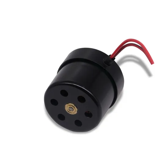 Electrical Tools 12V 24V BLDC Motor High Torque High Rpm Outrunner Mini Brushless Motor with PWM