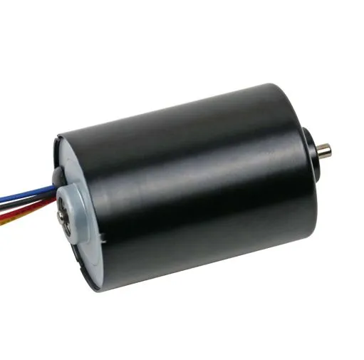 High Rpm 36mm 12V 24V Brushless DC Motor 3650 3657 3665 Electric Motor for Picking Machine/ Knife Grinder