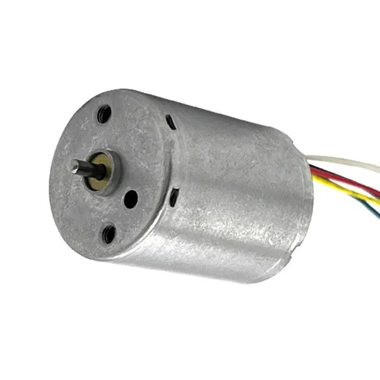 Xinhui 24mm Diameter BLDC Micro DC Brushless Motor 12V 24V 8000rpm 2430bl Mini Electric Motor for Robot