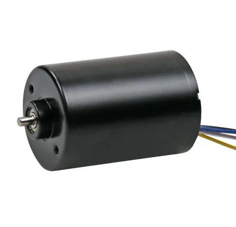 Xinhui 36mm Electric BLDC Motor 3650 3657 3665 12V 24V High Speed Brushless Motor with PWM/Forward and Reverse