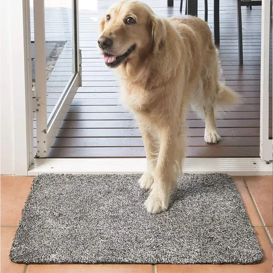 Super Absorbent Magic Clean Entrance Door Mat Indoor Pet Mat