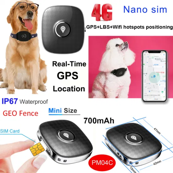 4G Anti-lost IP67 waterproof Dogs GPS Tracker with History Tracking Voice monitor for cats pets Safety Monitoring PM04C