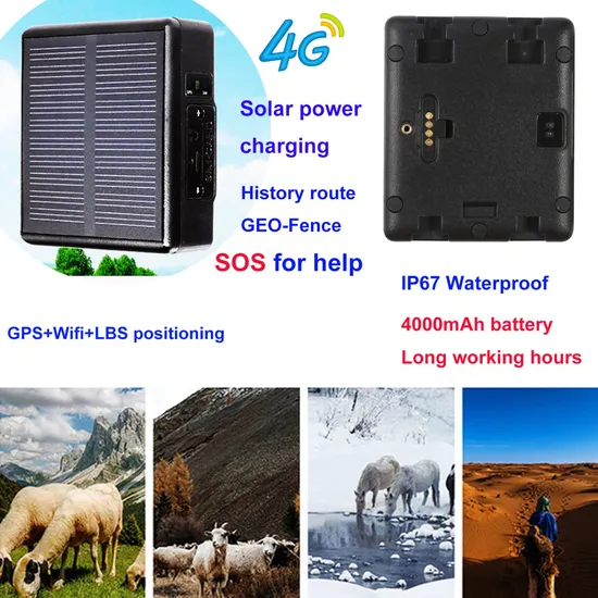 China Factory 4G IP67 Waterproof Solar Power Charged GPRS Long Working Hours Animals Pets Tracker GPS Tracking Device V24