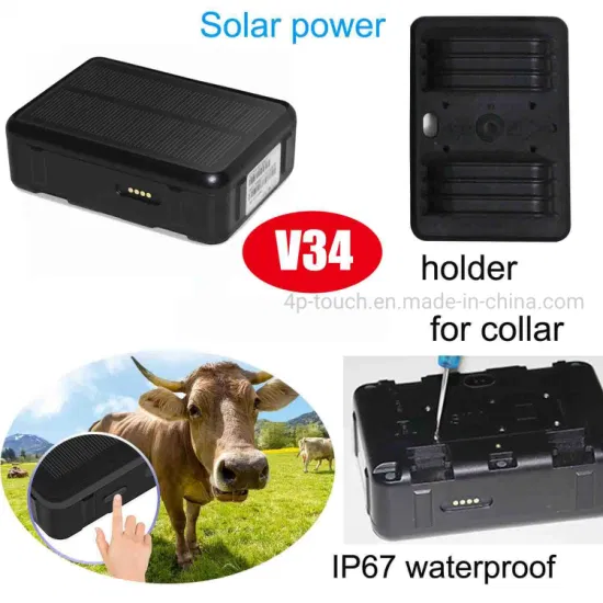 China Manufacture 2G IP67 Water Resistance Solar Panel Power Supply Livestock Cow Sheep Cattle Collar GPS Tracker V34