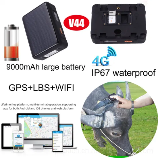 China factory 4G IP67 Waterproof Automatic Solar Power charging Animals cat cow cattle sheep mini GPS Tracker V44