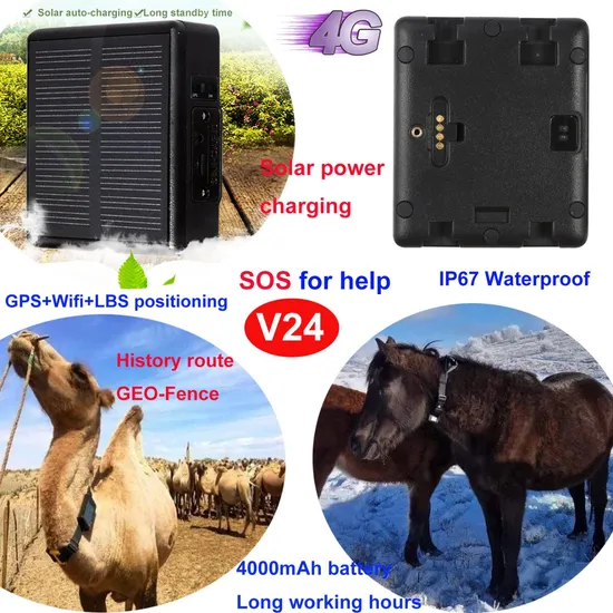 China factory 4G IP67 Waterproof Super Long Battery Life Solar Power charging GPS device for Cow Sheep Cattle V24