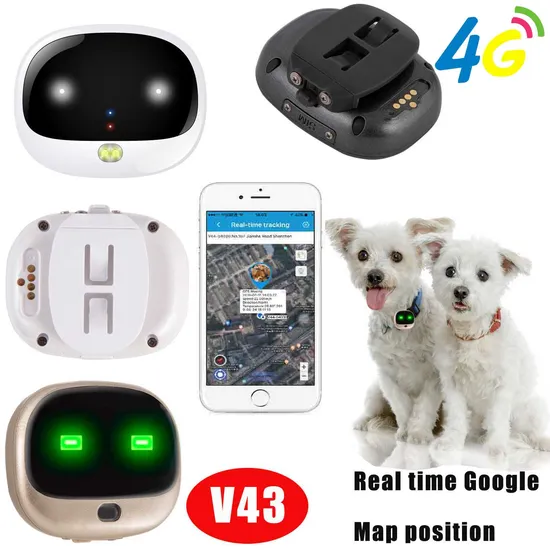 China factory supply Waterproof IP67 4G security GPS Pets Tracker with Real-Time Google Map Tracking V43