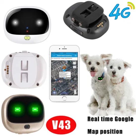 Factory Direct Supplied IP67 Waterproof Pet Tracking 4G LTE Mini GPS Tracker with Large Battery Capacity V43