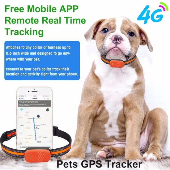 Factory OEM latest waterproof 4G pet tracker GPS with collar free mobile APP for dog cat animal real time tracking Y33