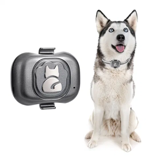 Factory wholesale 2G Waterproof IP67 Smart Tracker GPS for dog cats pets with GEO-Fence alerts Y32