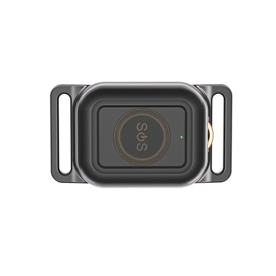 Fashion Quality IP67 Waterproof 4G Pets Mini GPS Tracker Global World Location with History Route Tracking Y41