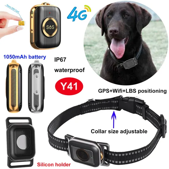 High quality 4G IP67 waterproof long battery life Pets Cats GPS Tracker with global tracking location Y41