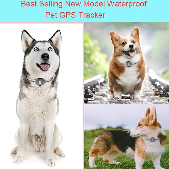 High quality Wholesale 2G waterproof IP67 accurate Mini GPS Tracker for Cats dogs pet with collar Y32