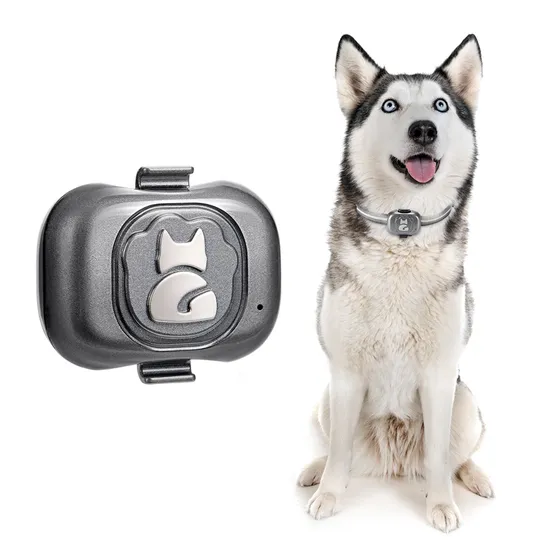 High quality Wholesale 2G waterproof IP67 accurate Mini GPS Tracker for Cats dogs pet with collar Y32