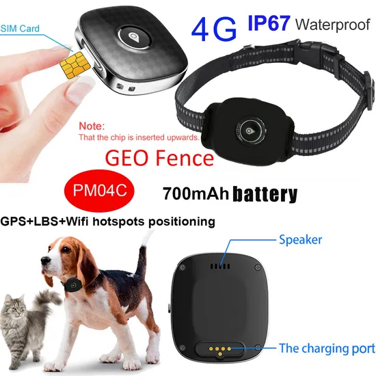 Hot Sale China Manufacture 4G IP67 Waterproof Pets GPS Tracker for Dog Cat Built in 700mAh Large Battery Capacity PM04C