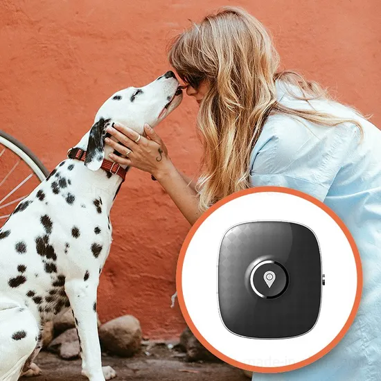 Hot Sale China Manufacture 4G IP67 Waterproof Pets GPS Tracker for Dog Cat Built in 700mAh Large Battery Capacity PM04C