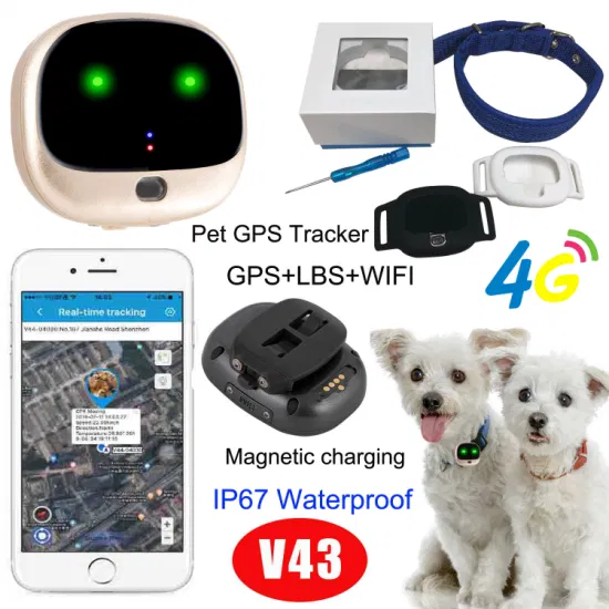 Latest IP67 water resistance Best Selling slim design hidden GPS Tracker 4G LTE Real Time Tracking Mini GPS Tracker V43