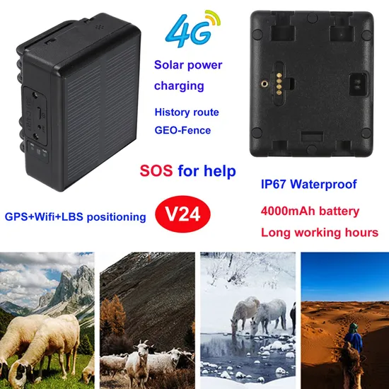 New Arrival 4G IP67 Waterproof portable Solar Powered Free App Alarm Alert Cow Cattle GPS Tracker device V24