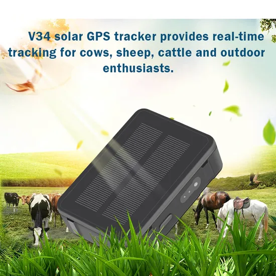 Quality China Manufacture 2G GSM Waterproof Lifetime Free APP Platform Solar Charging GPS Tracking for Cow Cattle Sheep V34