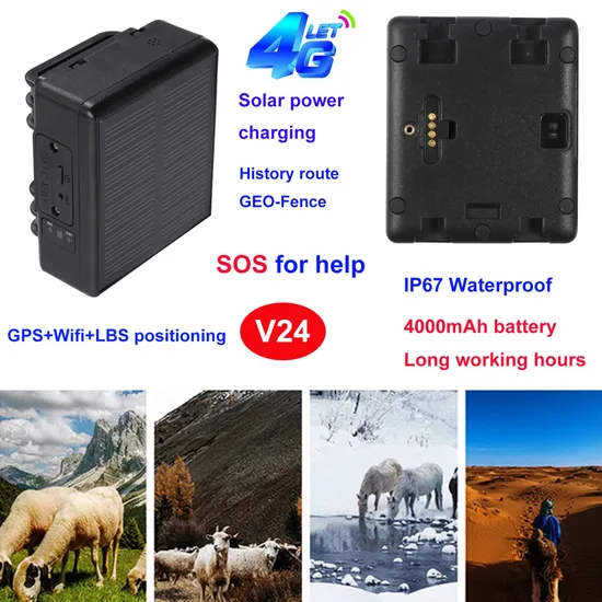 Quality China Manufacture 4G Waterproof Lifetime Free APP Platform Solar Charging GPS Tracking device for Cow Cattle Sheep V24