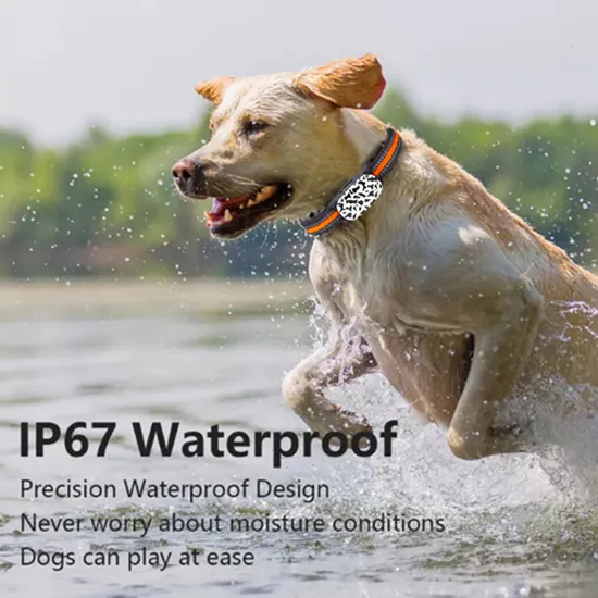 The latest IP67 waterproof 4G pets dog GPS tracker cat animal free collar real time APP Web GPS tracking device Y34