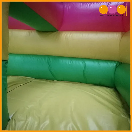 2019 Arrived Slide Inflatable Kids Indoor Playground Equipment (AQ09155)