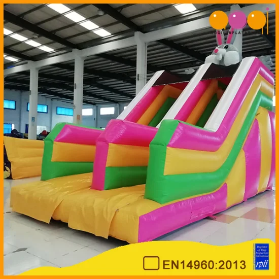 2019 Arrived Slide Inflatable Kids Indoor Playground Equipment (AQ09155)