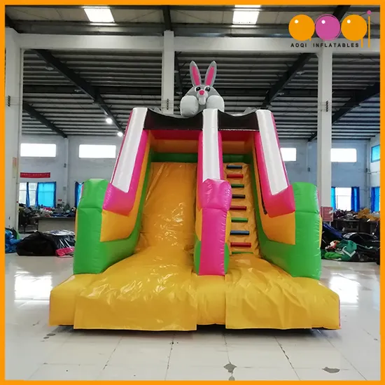 2019 Arrived Slide Inflatable Kids Indoor Playground Equipment (AQ09155)