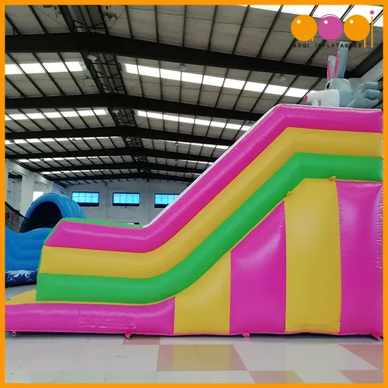 2019 Arrived Slide Inflatable Kids Indoor Playground Equipment (AQ09155)