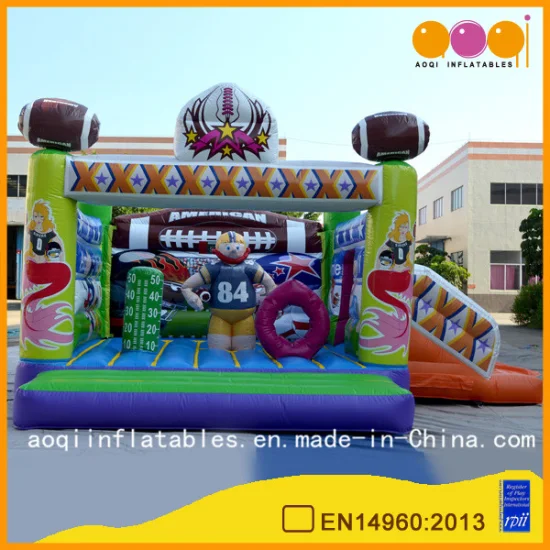 Amusement Park Equipment Inflatable Jumper Combo Bouncer and Slide (AQ01561)