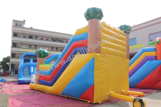 Amusement Park Inflatable Bouncer Castle Inflatable Bouncer Slide (AQ09244)