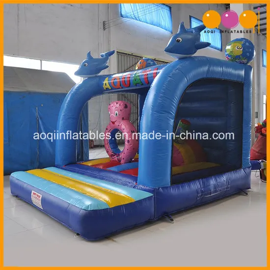 Amusement Park Ocean Jumping Inflatable Bouncer Toy for Sale (AQ01120)