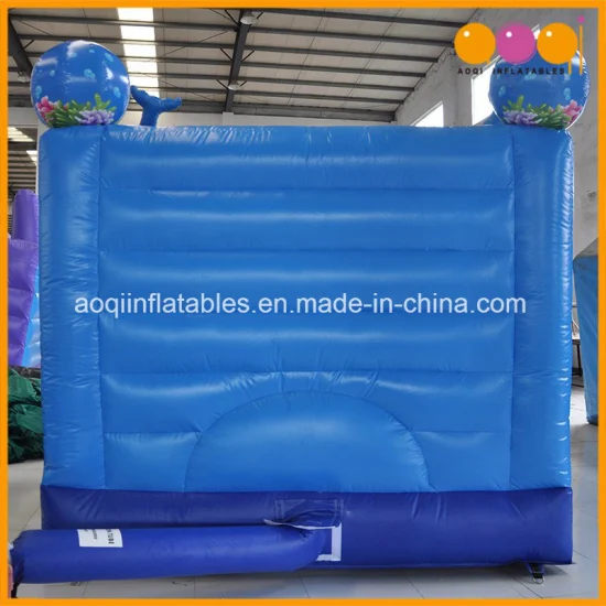 Amusement Park Ocean Jumping Inflatable Bouncer Toy for Sale (AQ01120)