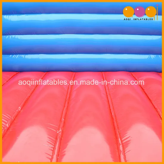 Animal Bouncer Inflatable Pig Amusement Jumping Bouncer (AQ02375)