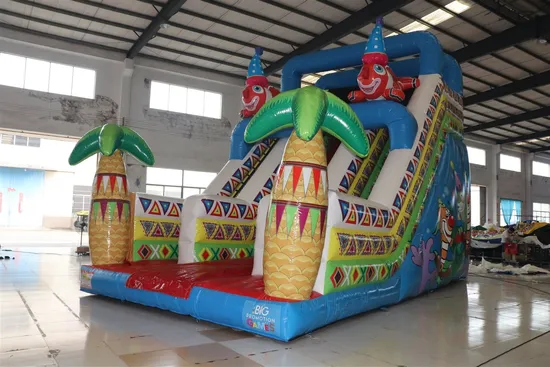 Aoqi Clown Fish Inflatable Wet Dry Poolside Slide