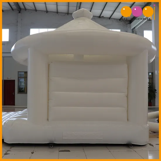 Aoqi Custom Heavy Duty Inflatable Bounce House for Sale