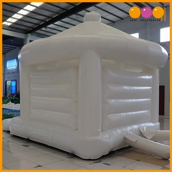 Aoqi Custom Heavy Duty Inflatable Bounce House for Sale