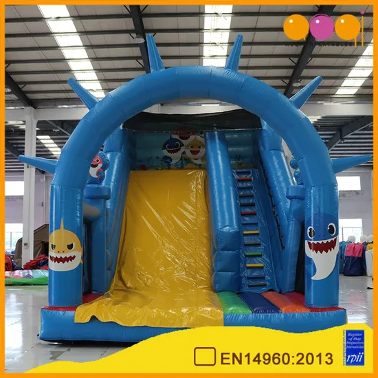 Aoqi Custom Ocean Inflatable Dry Slide for Children