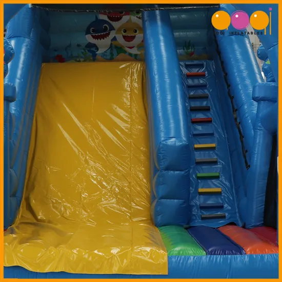 Aoqi Custom Ocean Inflatable Dry Slide for Children