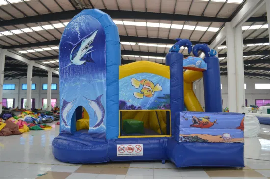 Aoqi Design Custom Inflatable Bounce House Indoor with Slide