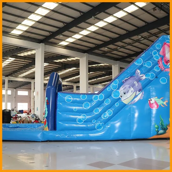 Aoqi Designed Inflatable Water Slides for Sale