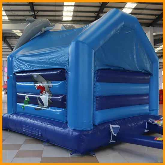 Aoqi Dolphin Inflatable Bounce House Commercial Clearance