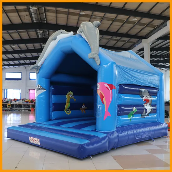 Aoqi Dolphin Inflatable Bounce House Commercial Clearance