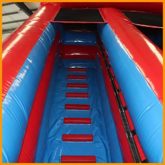 Aoqi Factory Inflatable Water Slide Indoor for Sale