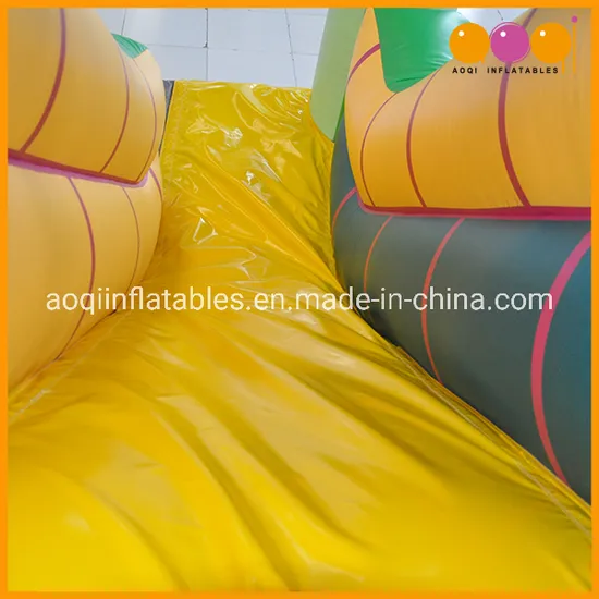 Aoqi Factory Price Animal Mini Double Inflatable Slide for Kids (AQ1223-1)